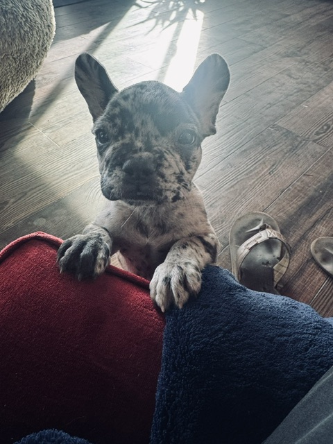 Coco - Happy moments