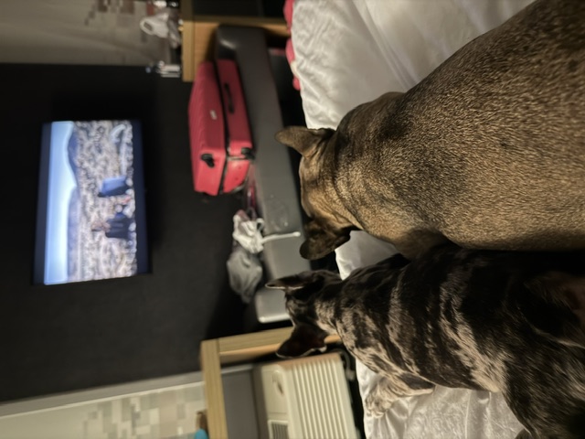 Coco - Sweet memories