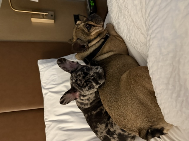 Coco - Precious moments